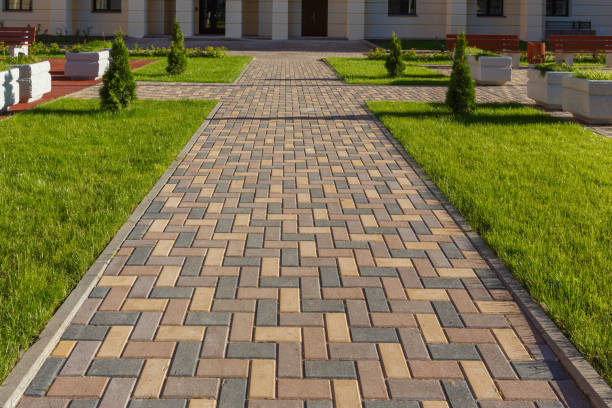 Best Best Driveway Pavers  in Sidney, MT